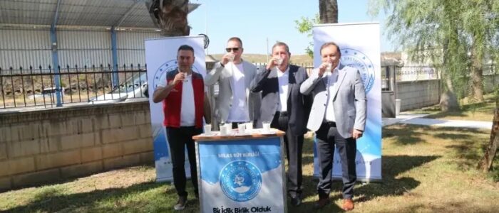 Sürücülere Ceza Yerine, Süt Ve Süt Ürünleri İkramı